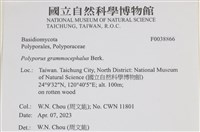 登錄號:F0038866藏品圖，第2張