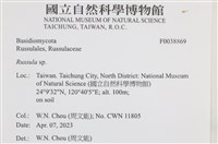 紅菇屬藏品圖，第2張