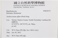 登錄號:F0038872藏品圖，第2張