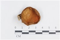 登錄號:F0038872藏品圖，第1張