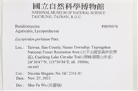 登錄號:F0038876藏品圖，第2張