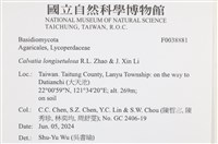 登錄號:F0038881藏品圖，第2張