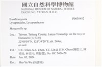 登錄號:F0038882藏品圖，第2張