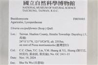 登錄號:F0038883藏品圖，第2張