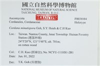 登錄號:F0038884藏品圖，第2張