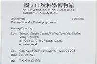 登錄號:F0038888藏品圖，第2張