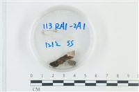 登錄號:F0038889藏品圖，第1張