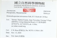 登錄號:F0038890藏品圖，第2張