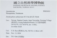 登錄號:F0038891藏品圖，第2張