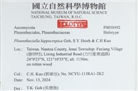 登錄號:F0038892藏品圖，第2張