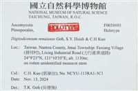 登錄號:F0038893藏品圖，第2張