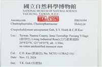 登錄號:F0038894藏品圖，第2張