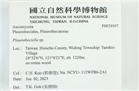 登錄號:F0038897藏品圖，第2張