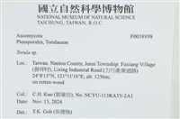 登錄號:F0038898藏品圖，第2張