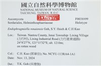 登錄號:F0038899藏品圖，第2張