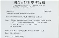 登錄號:F0038901藏品圖，第2張