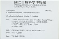 登錄號:F0038902藏品圖，第2張