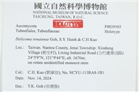 登錄號:F0038903藏品圖，第2張