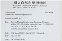 登錄號:F0038904藏品圖，第2張