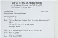 登錄號:F0038906藏品圖，第2張