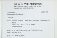 登錄號:F0038907藏品圖，第2張