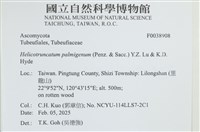 登錄號:F0038908藏品圖，第2張