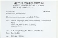 登錄號:F0038909藏品圖，第2張