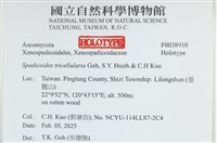 登錄號:F0038910藏品圖，第2張