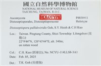 登錄號:F0038911藏品圖，第2張