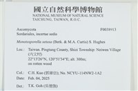 登錄號:F0038913藏品圖，第2張