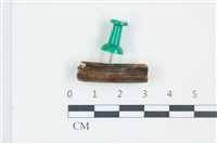 登錄號:F0038913藏品圖，第1張