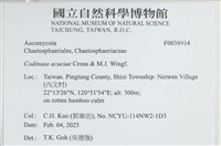 登錄號:F0038914藏品圖，第2張