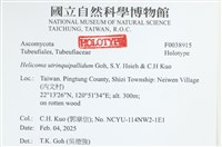 登錄號:F0038915藏品圖，第2張