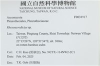 登錄號:F0038917藏品圖，第2張