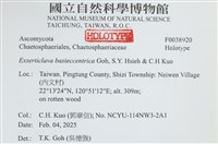 登錄號:F0038920藏品圖，第2張