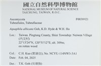 登錄號:F0038921藏品圖，第2張