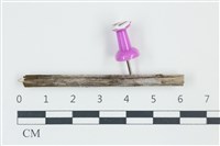 登錄號:F0038921藏品圖，第1張