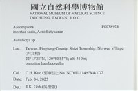 登錄號:F0038924藏品圖，第2張