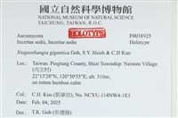 登錄號:F0038925藏品圖，第2張