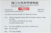 登錄號:F0038926藏品圖，第2張