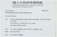 登錄號:F0038927藏品圖，第2張