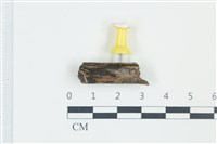 登錄號:F0038927藏品圖，第1張