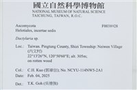 登錄號:F0038928藏品圖，第2張