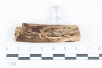 登錄號:F0038928藏品圖，第1張