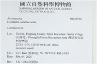 登錄號:F0038930藏品圖，第2張