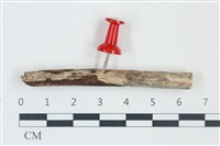 登錄號:F0038930藏品圖，第1張