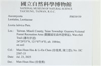 登錄號:F0038939藏品圖，第2張