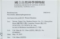 登錄號:F0038941藏品圖，第2張