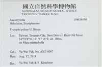 登錄號:F0038950藏品圖，第2張