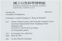 登錄號:F0038955藏品圖，第2張